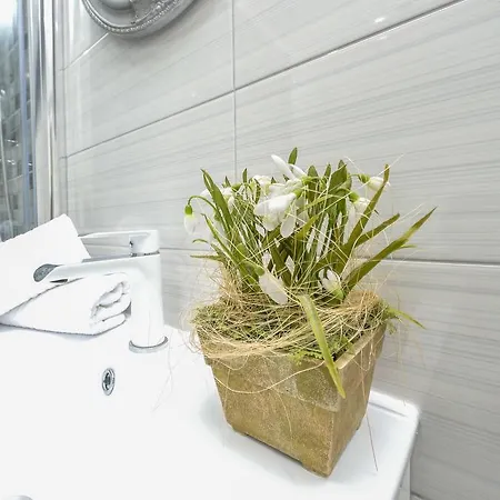 Apartment Stipan